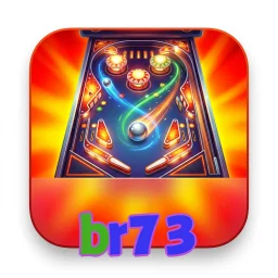br73